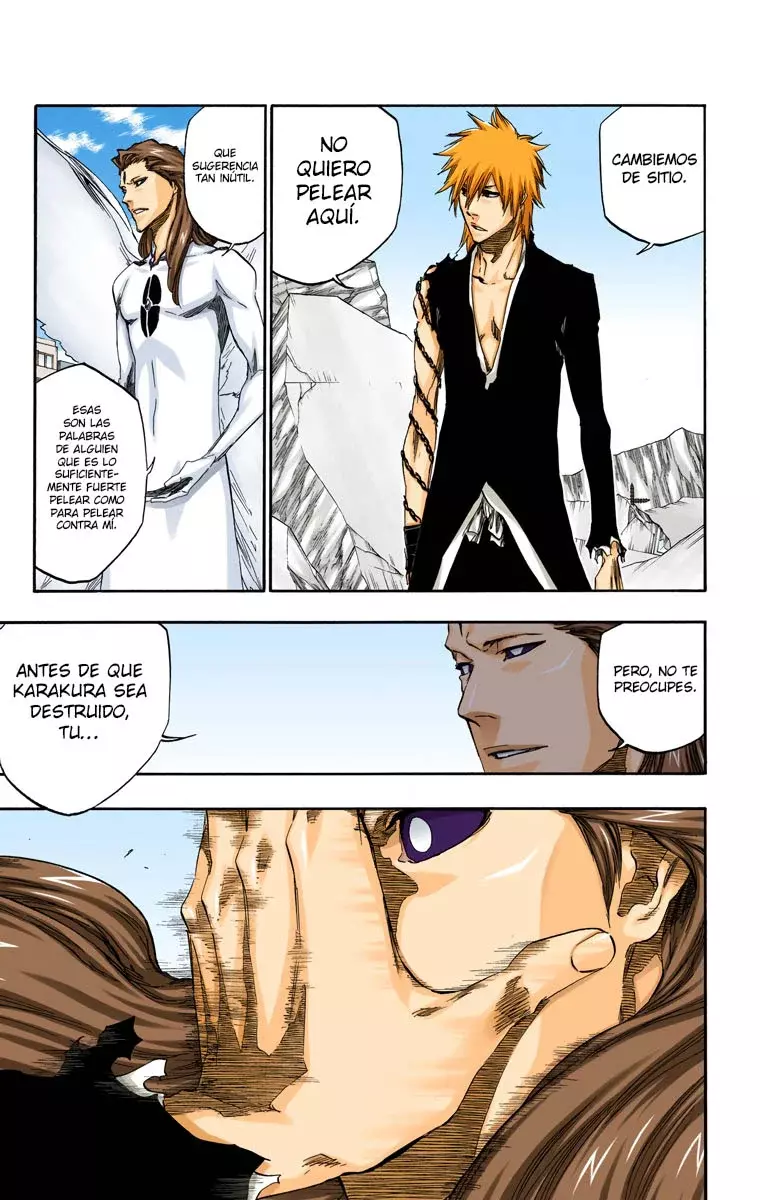 Read Bleach Full Color ES Manga Online