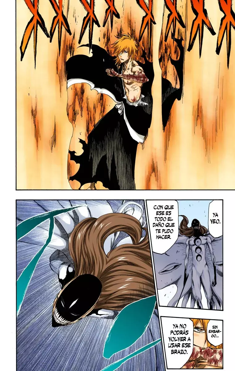Read Bleach Full Color ES Manga Online