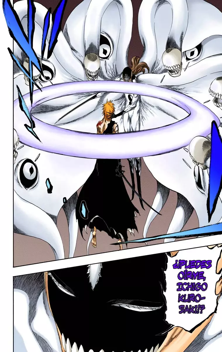 Read Bleach Full Color ES Manga Online