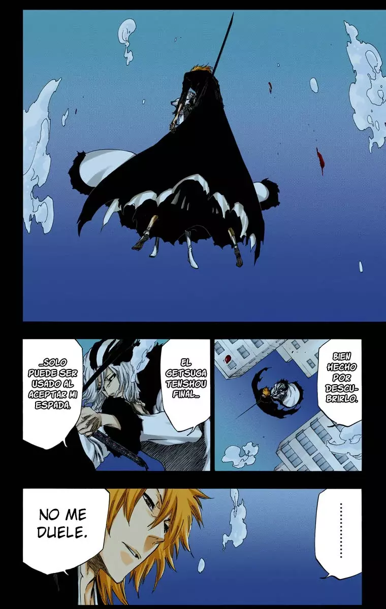 Read Bleach Full Color ES Manga Online