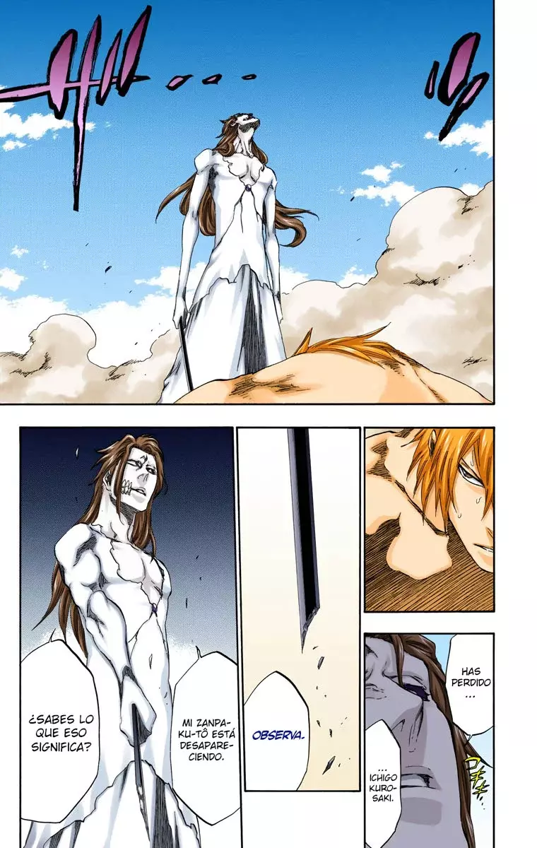 Read Bleach Full Color ES Manga Online