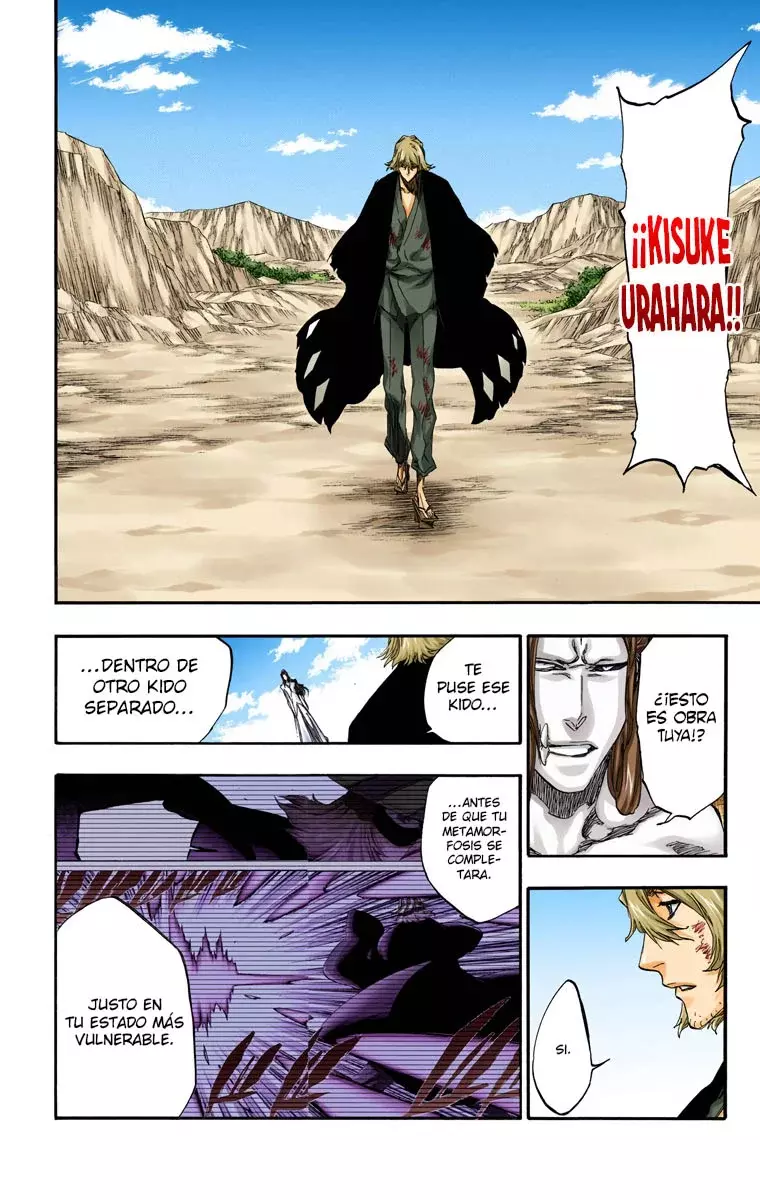 Read Bleach Full Color ES Manga Online