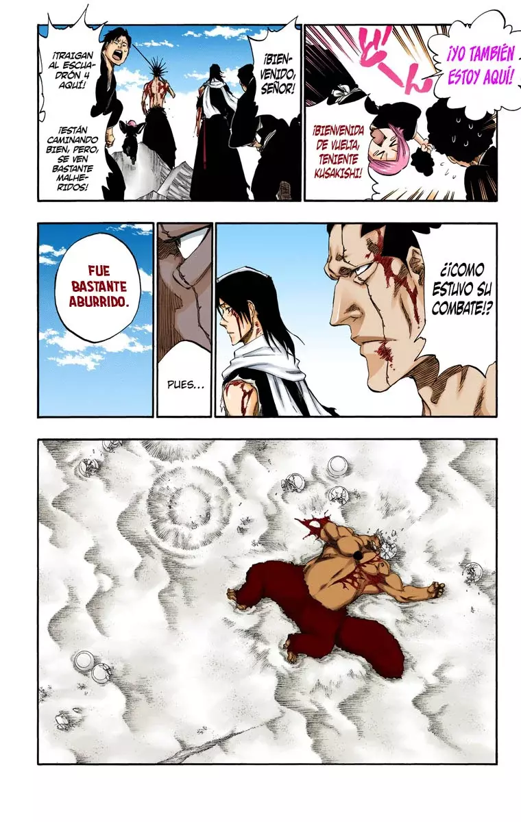 Read Bleach Full Color ES Manga Online