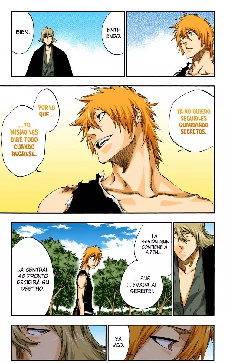 Read Bleach Full Color ES Manga Online