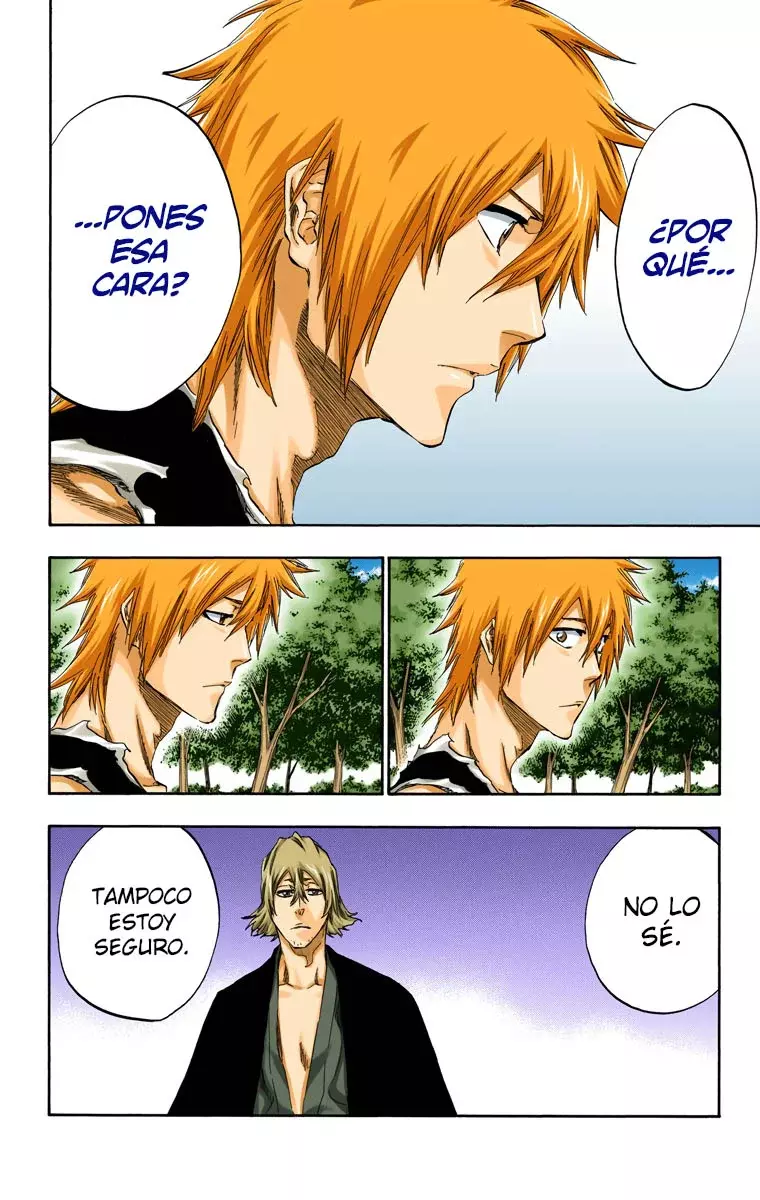 Read Bleach Full Color ES Manga Online