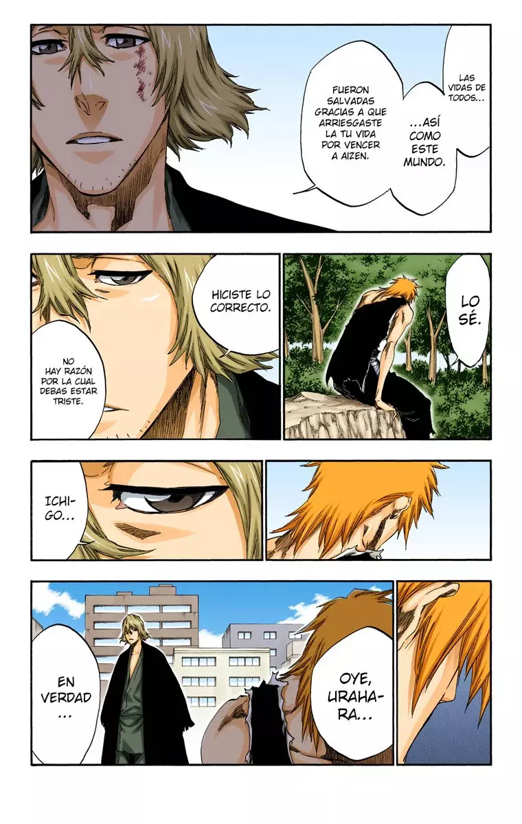 Read Bleach Full Color ES Manga Online