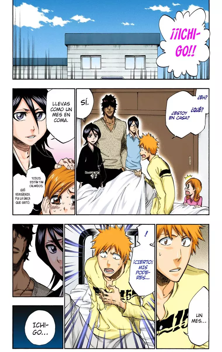 Read Bleach Full Color ES Manga Online