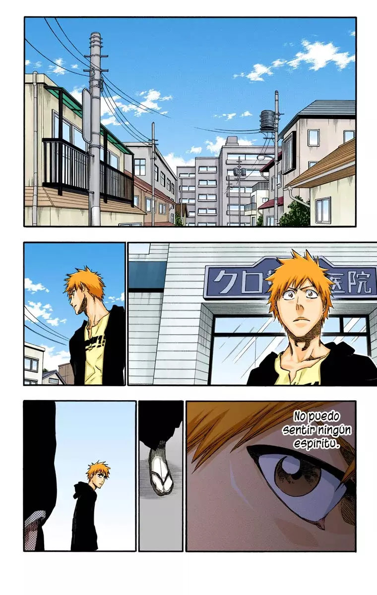 Read Bleach Full Color ES Manga Online