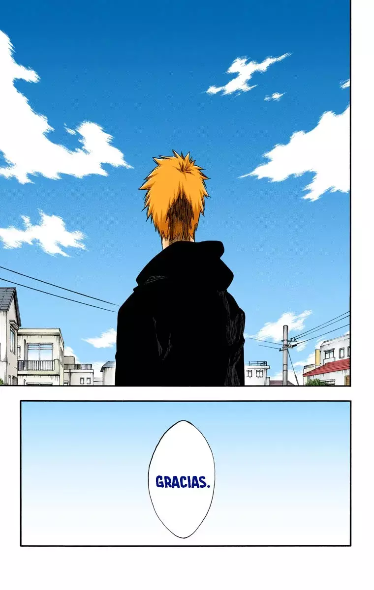 Read Bleach Full Color ES Manga Online