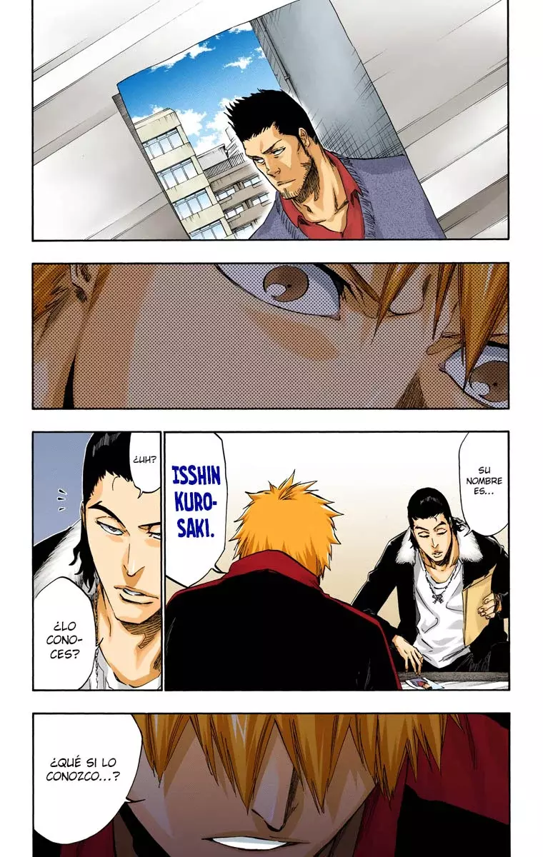 Read Bleach Full Color ES Manga Online