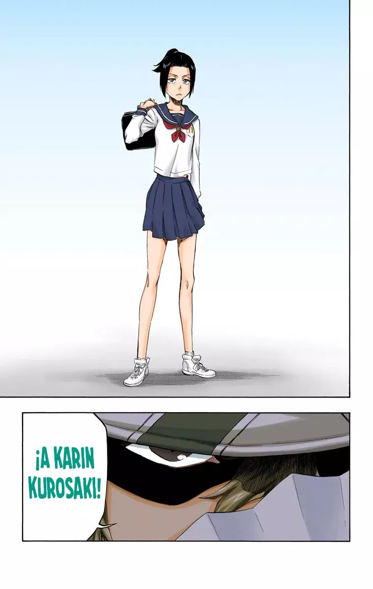 Read Bleach Full Color ES Manga Online
