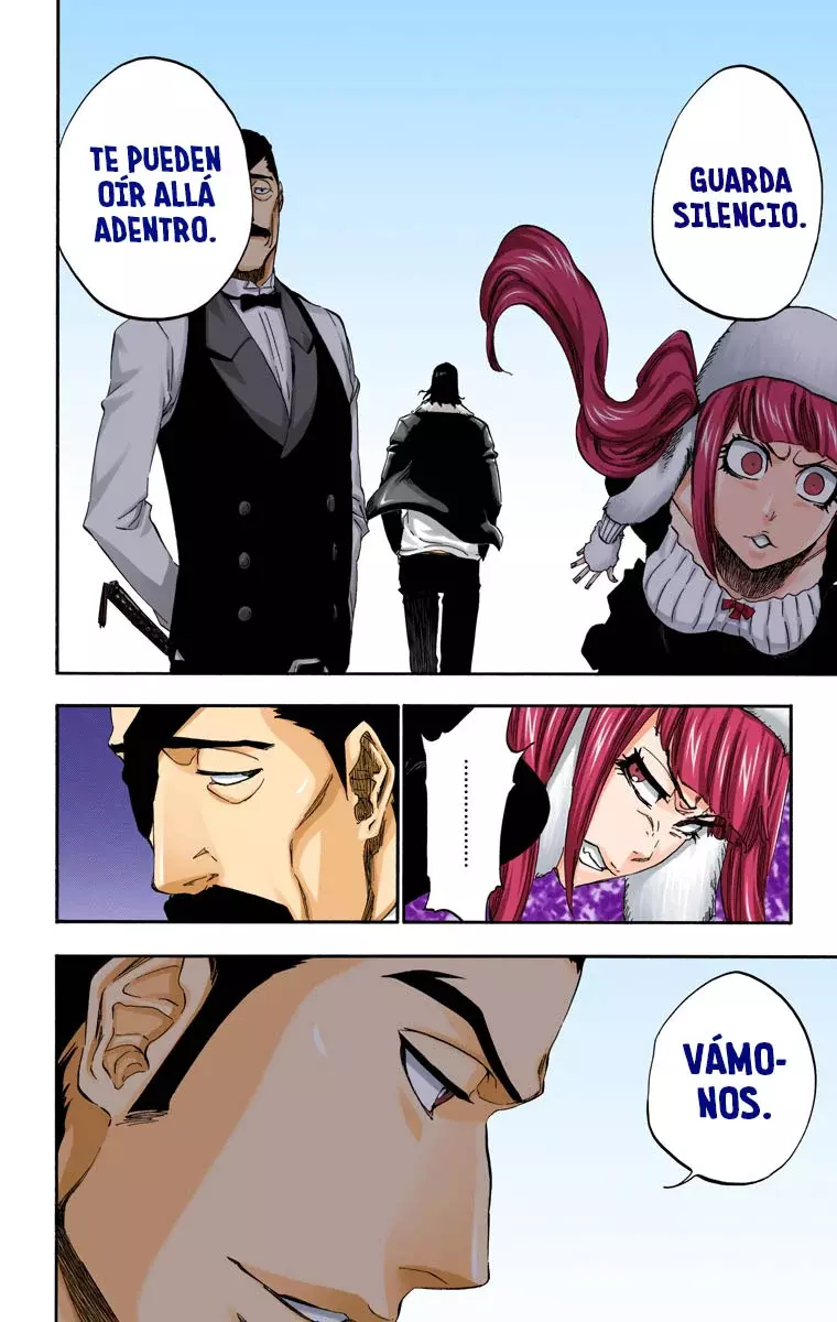 Read Bleach Full Color ES Manga Online