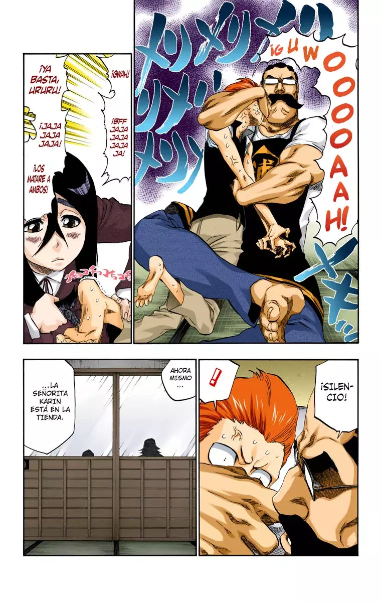 Read Bleach Full Color ES Manga Online