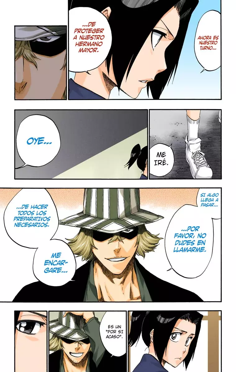 Read Bleach Full Color ES Manga Online