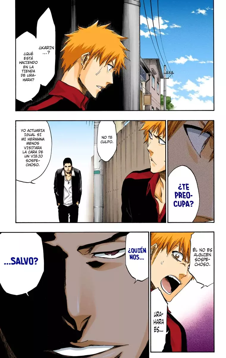 Read Bleach Full Color ES Manga Online