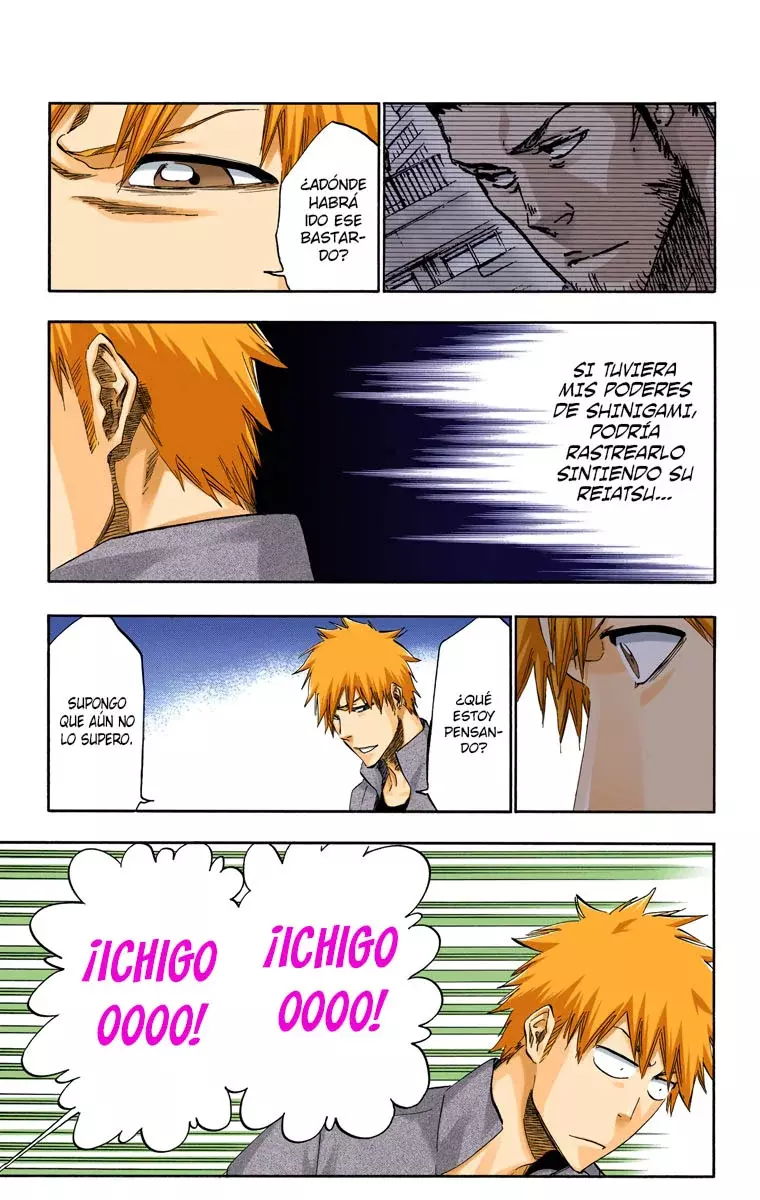 Read Bleach Full Color ES Manga Online