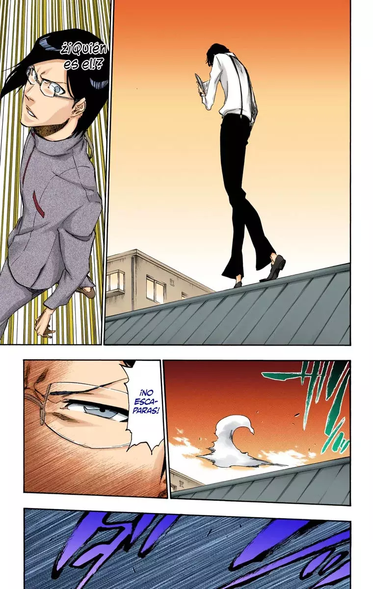 Read Bleach Full Color ES Manga Online