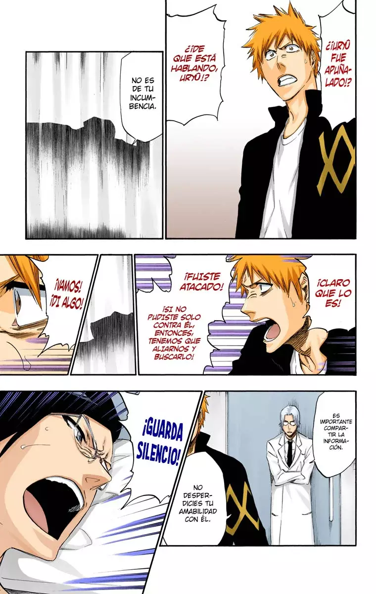 Read Bleach Full Color ES Manga Online