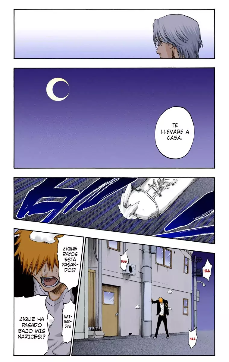 Read Bleach Full Color ES Manga Online
