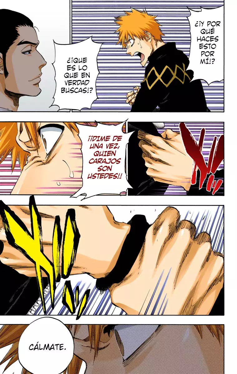 Read Bleach Full Color ES Manga Online
