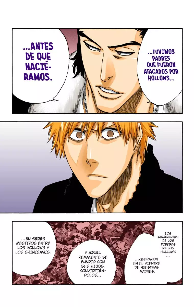 Read Bleach Full Color ES Manga Online