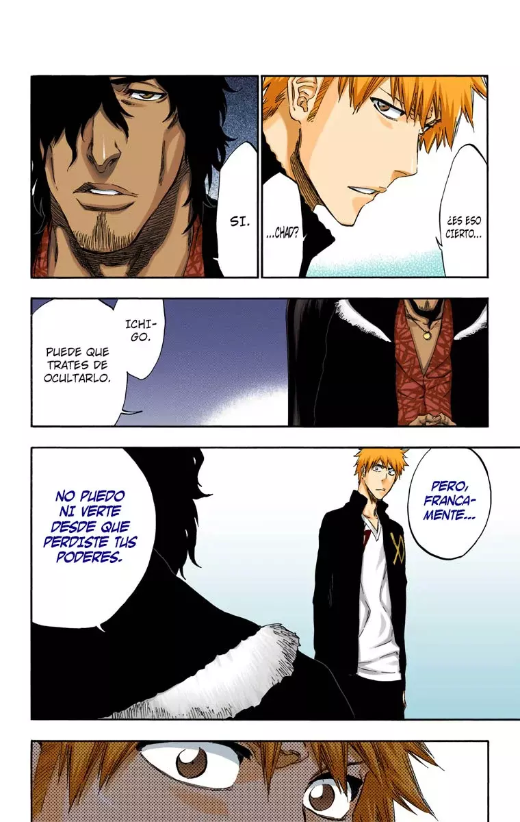 Read Bleach Full Color ES Manga Online