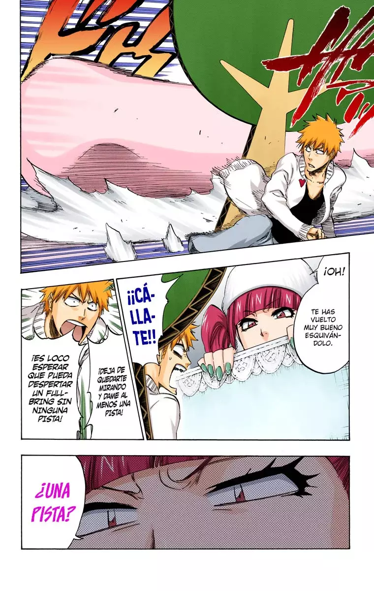 Read Bleach Full Color ES Manga Online