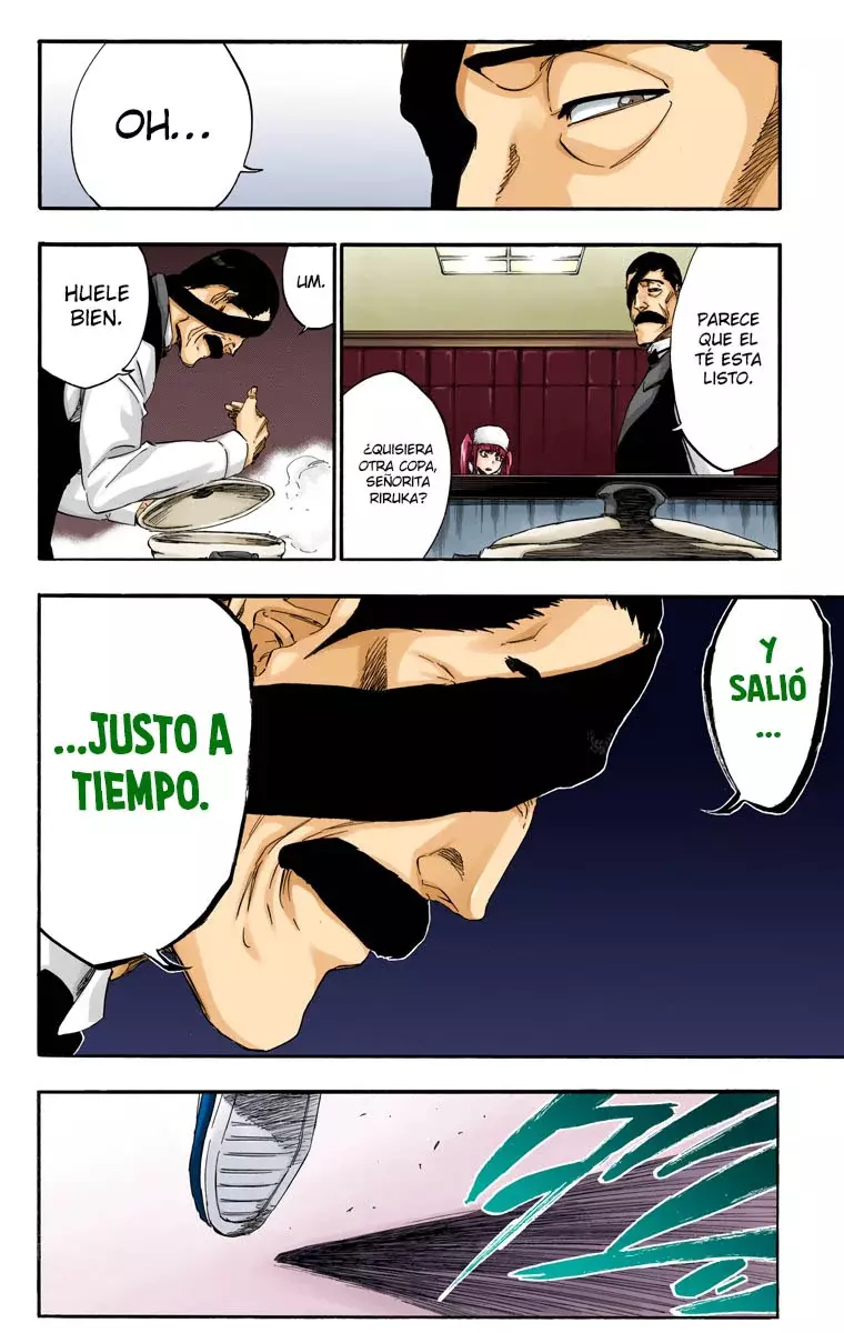 Read Bleach Full Color ES Manga Online