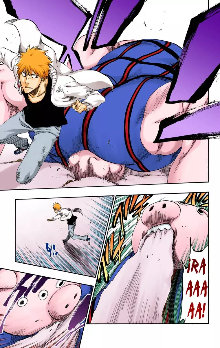 Read Bleach Full Color ES Manga Online