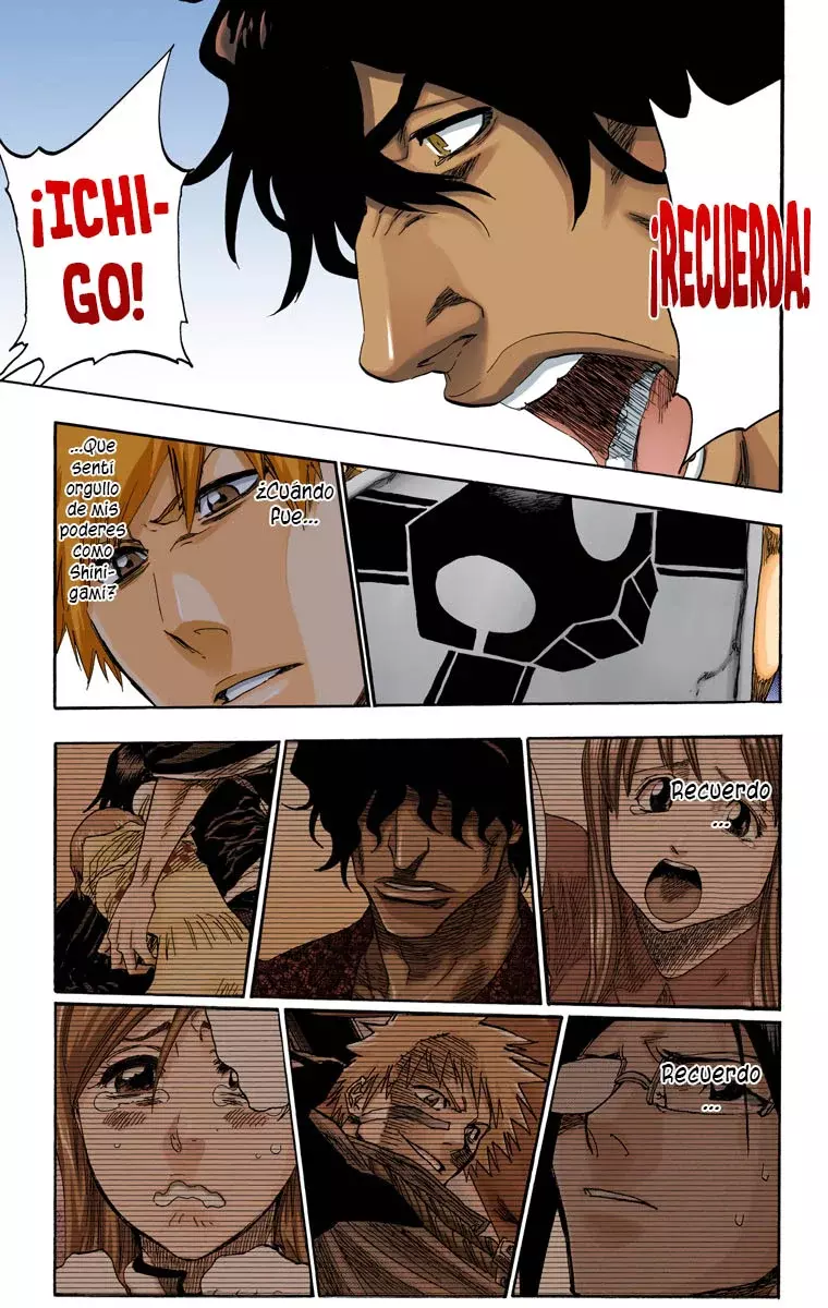 Read Bleach Full Color ES Manga Online