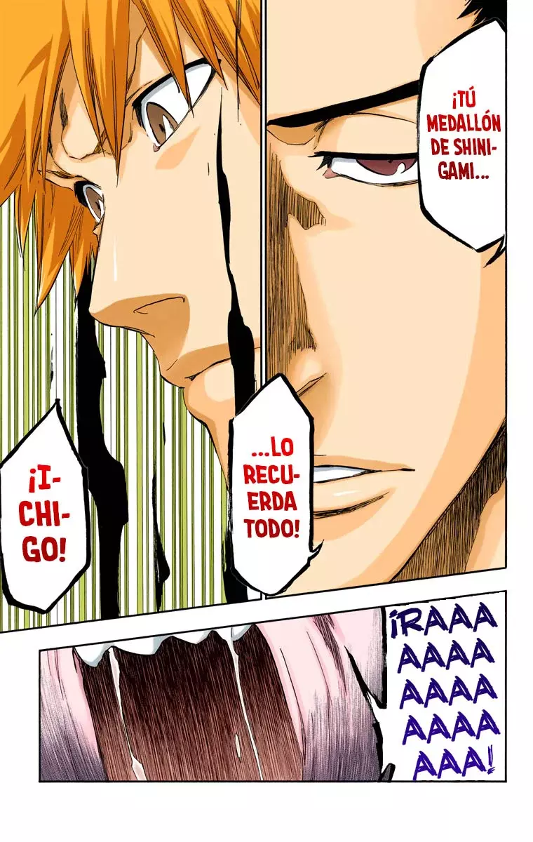 Read Bleach Full Color ES Manga Online