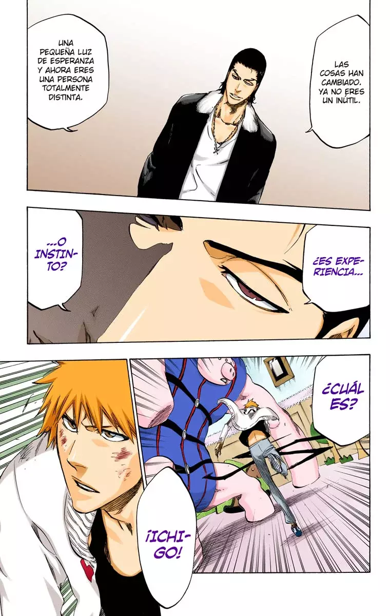 Read Bleach Full Color ES Manga Online