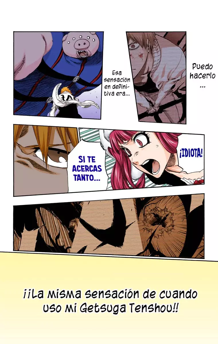 Read Bleach Full Color ES Manga Online
