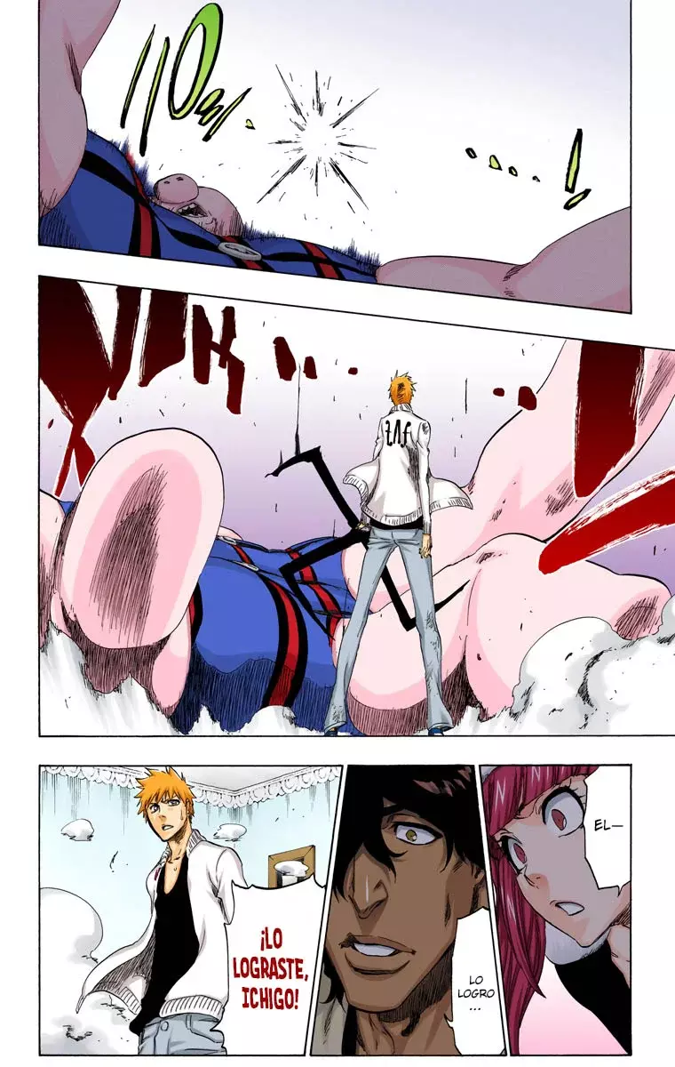 Read Bleach Full Color ES Manga Online