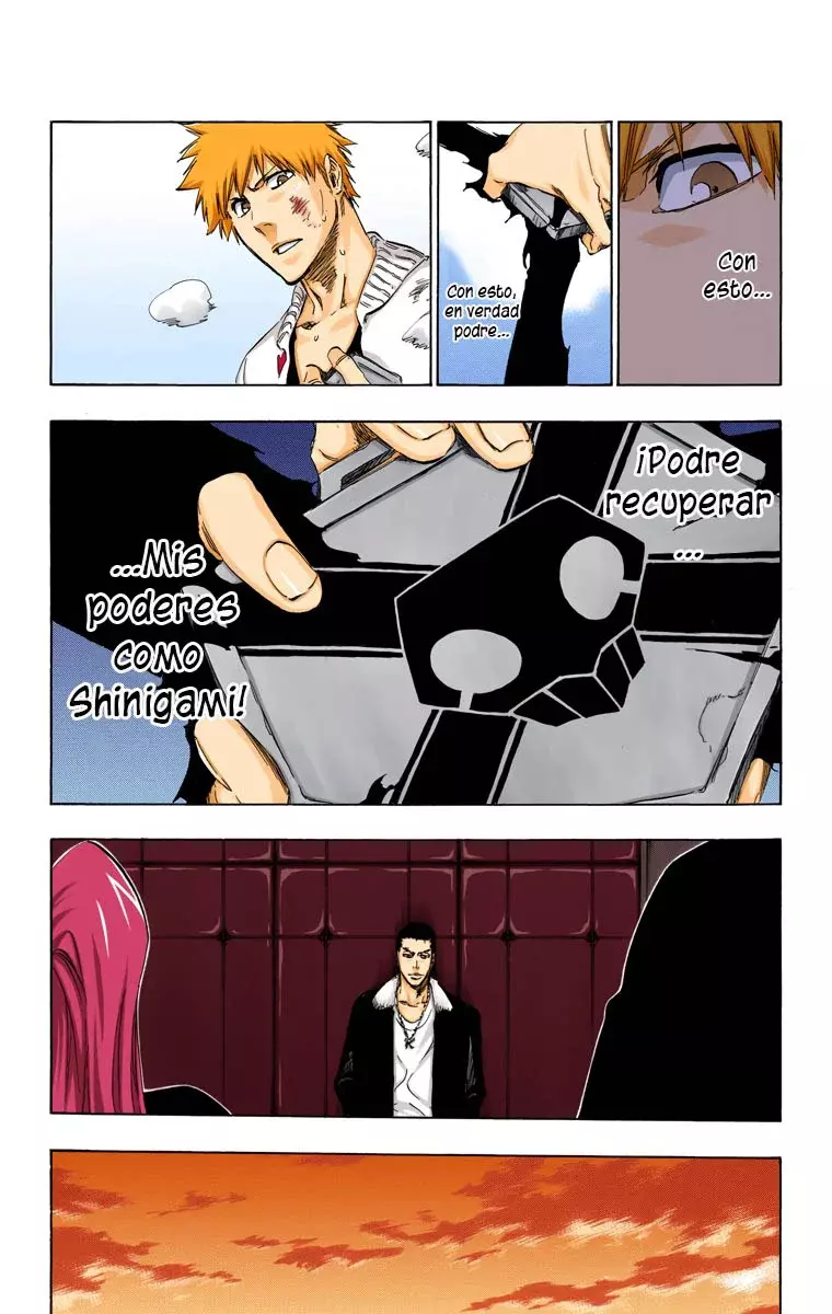 Read Bleach Full Color ES Manga Online