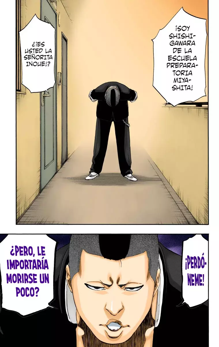 Read Bleach Full Color ES Manga Online