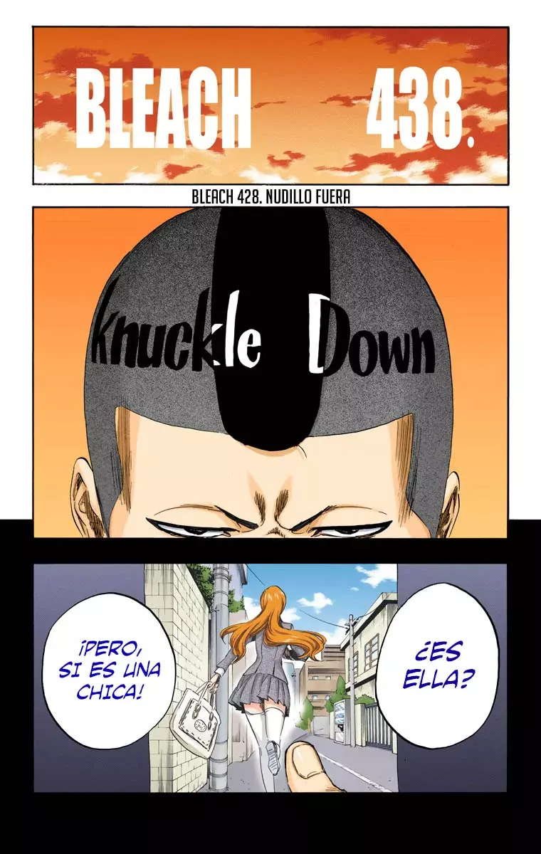 Read Bleach Full Color ES Manga Online