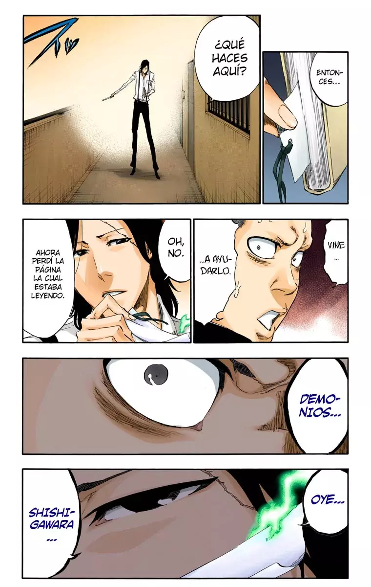 Read Bleach Full Color ES Manga Online