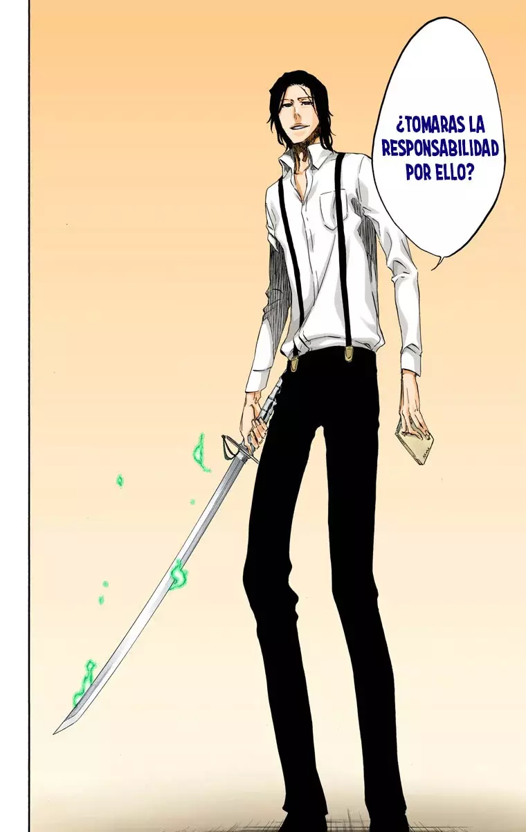 Read Bleach Full Color ES Manga Online