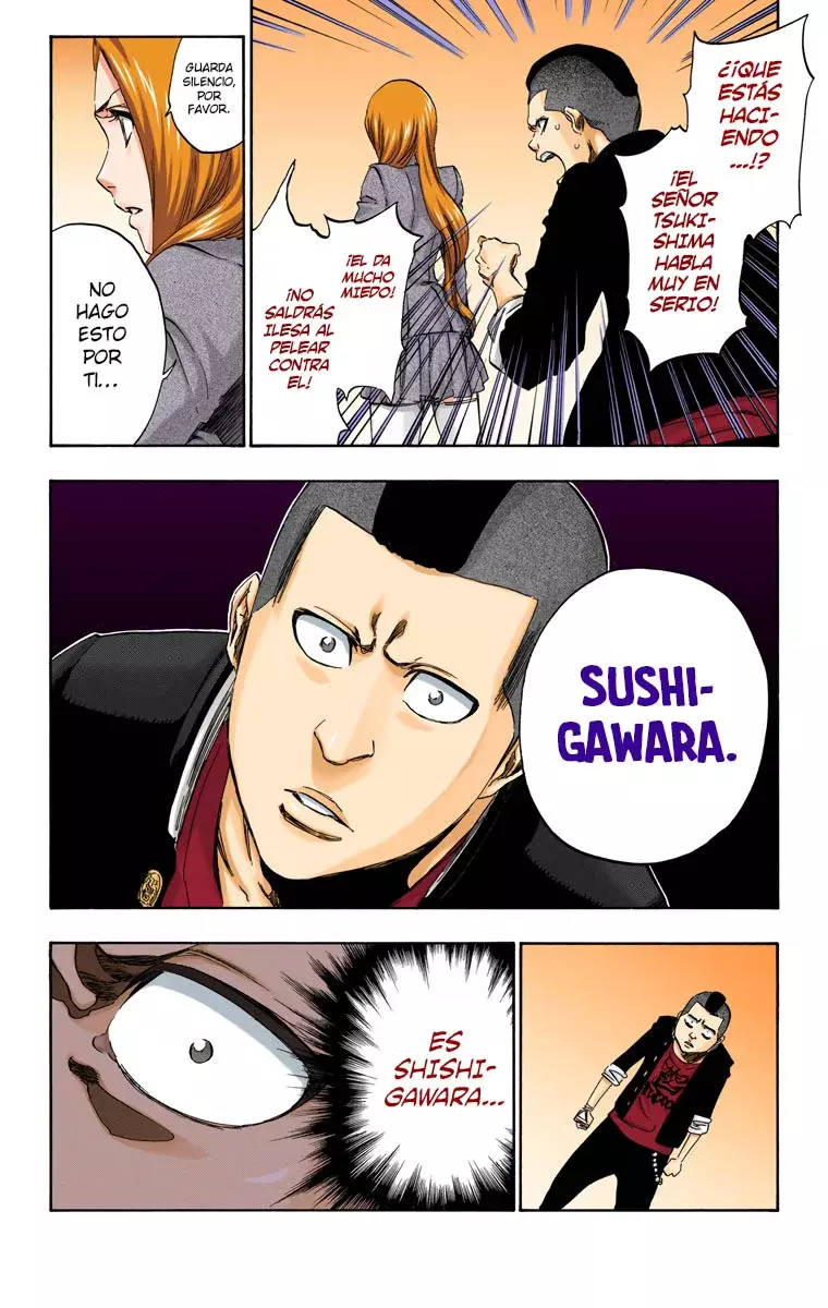 Read Bleach Full Color ES Manga Online