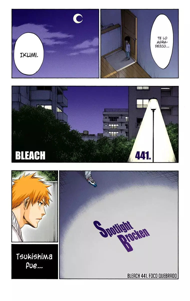 Read Bleach Full Color ES Manga Online