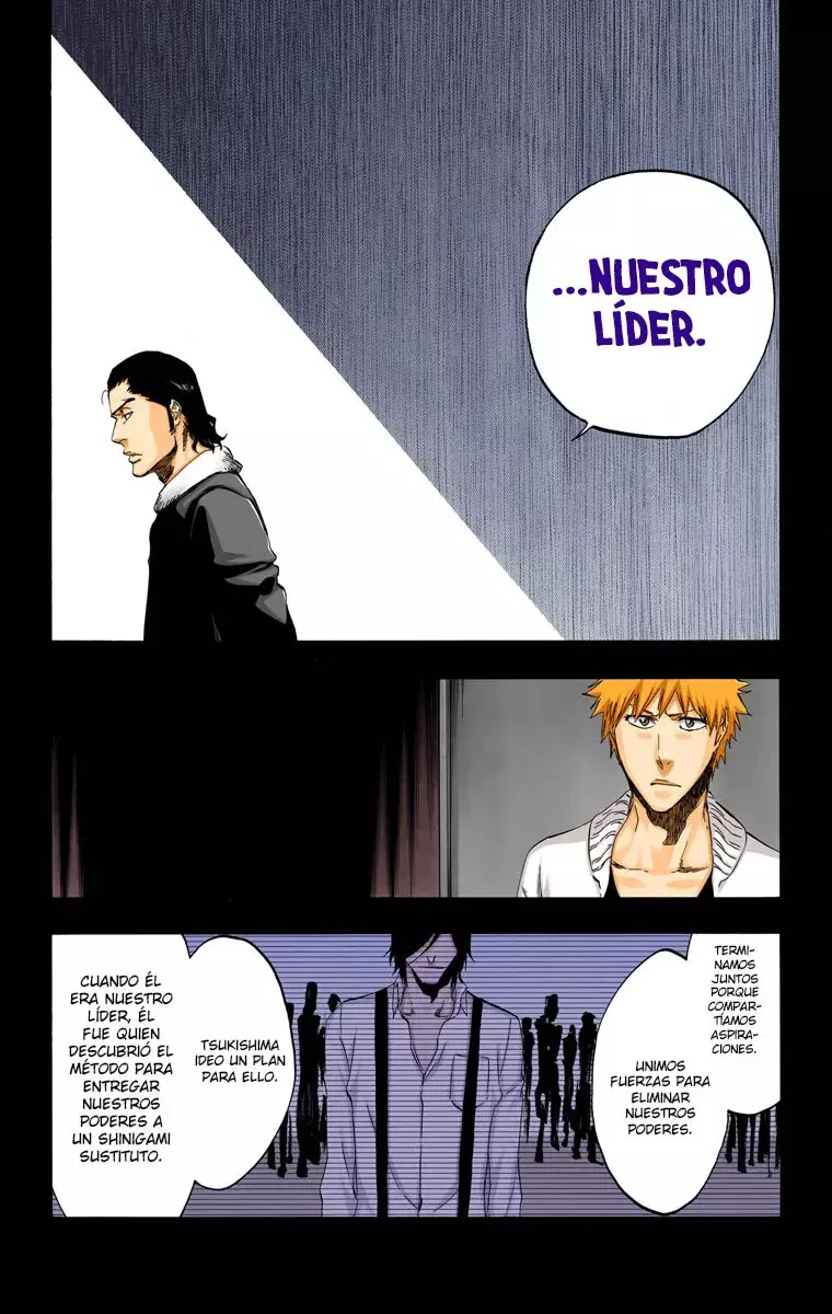 Read Bleach Full Color ES Manga Online