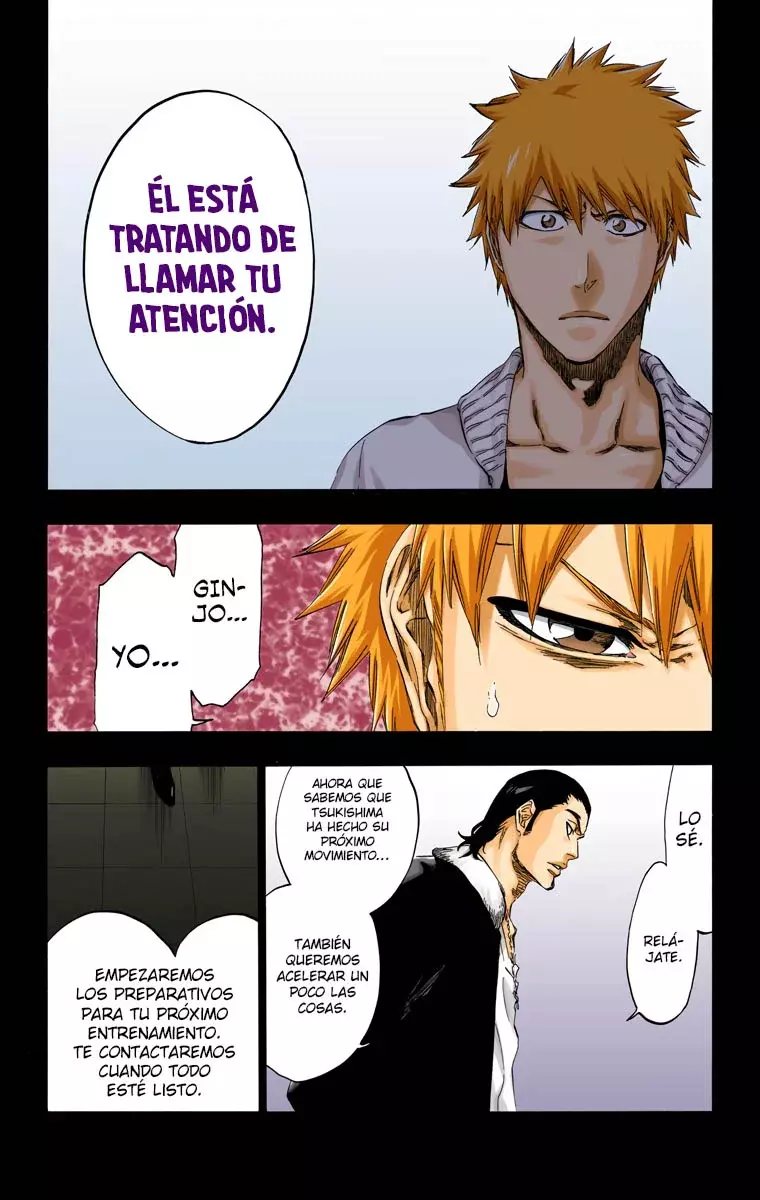 Read Bleach Full Color ES Manga Online