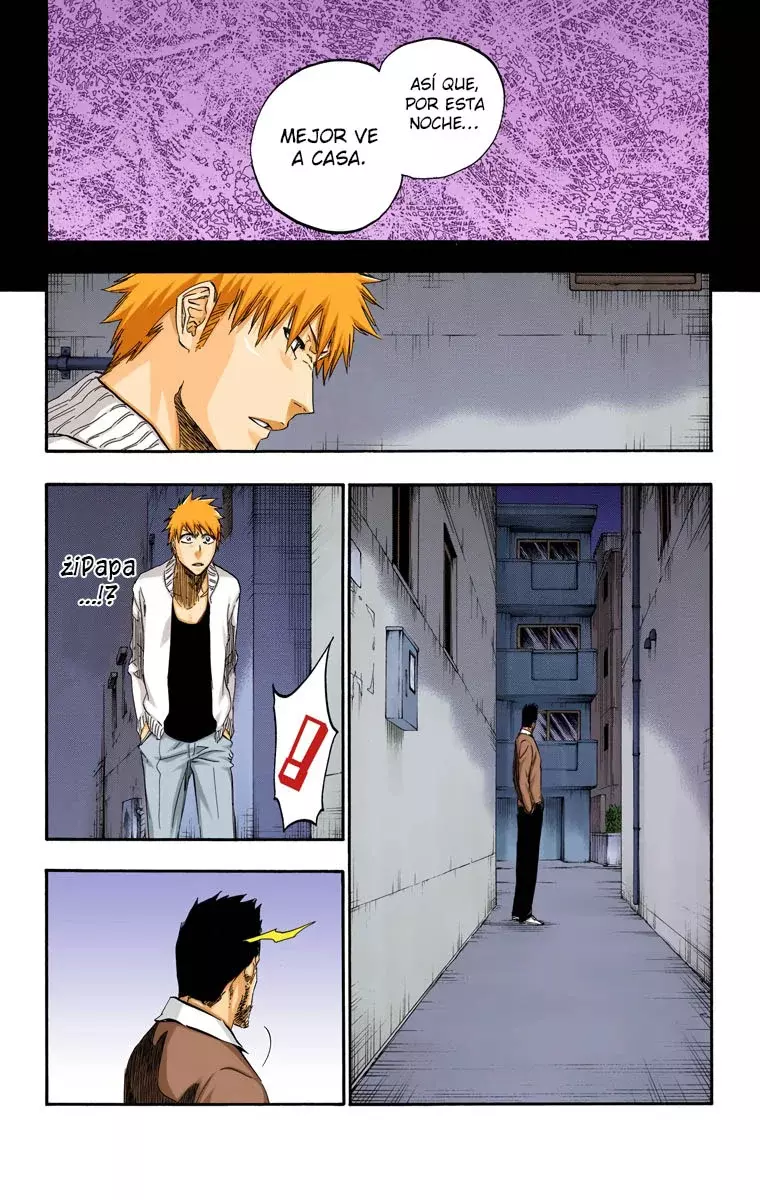 Read Bleach Full Color ES Manga Online