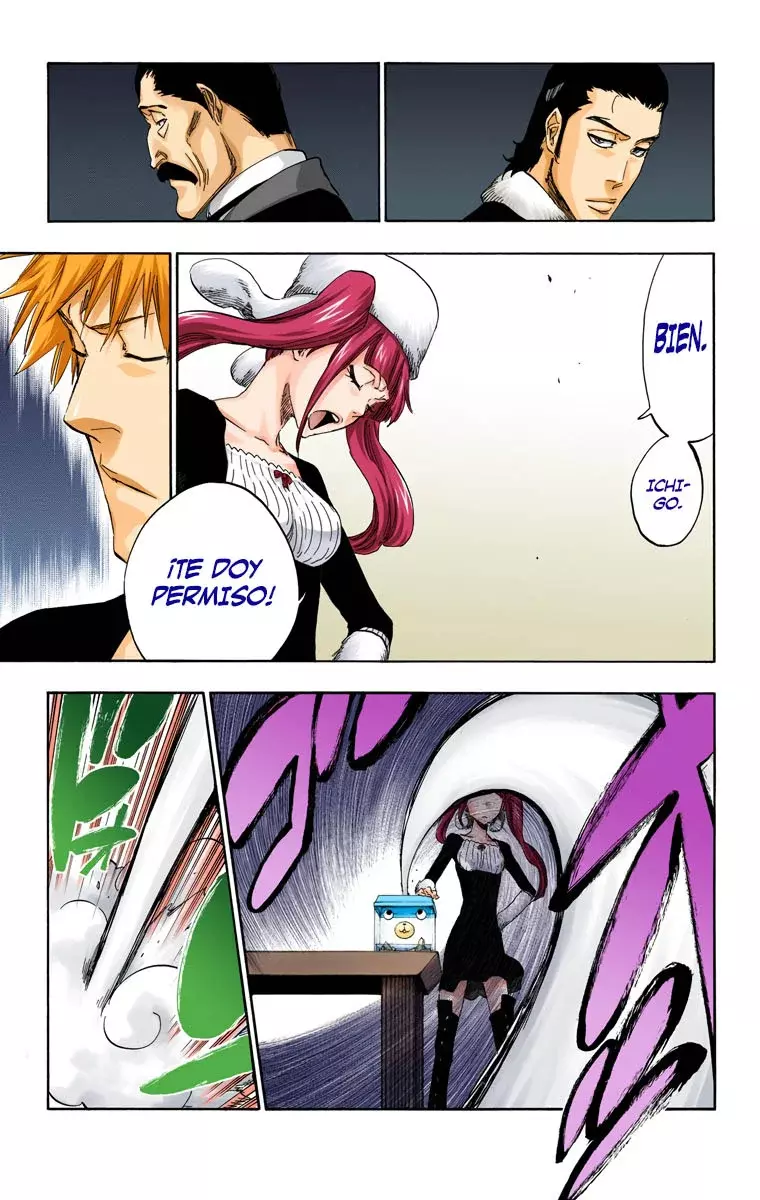 Read Bleach Full Color ES Manga Online
