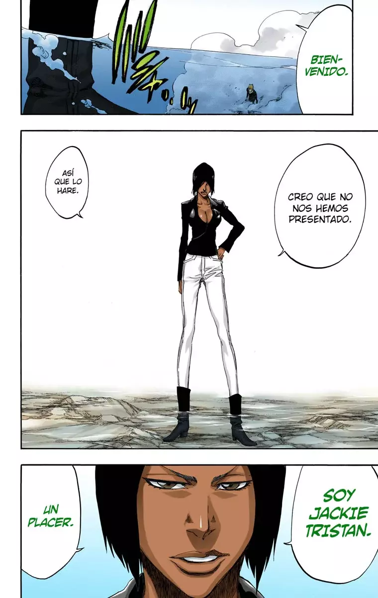 Read Bleach Full Color ES Manga Online