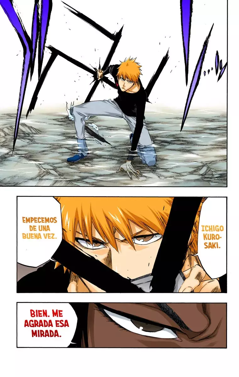 Read Bleach Full Color ES Manga Online