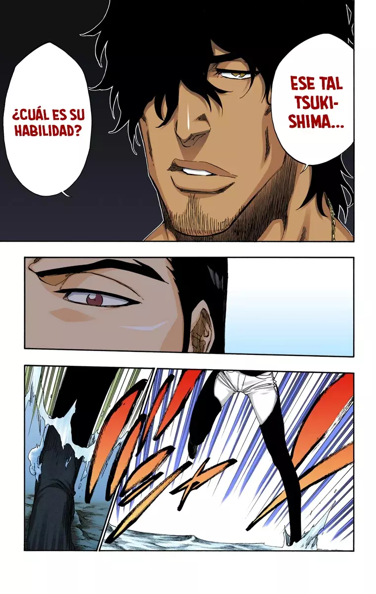 Read Bleach Full Color ES Manga Online