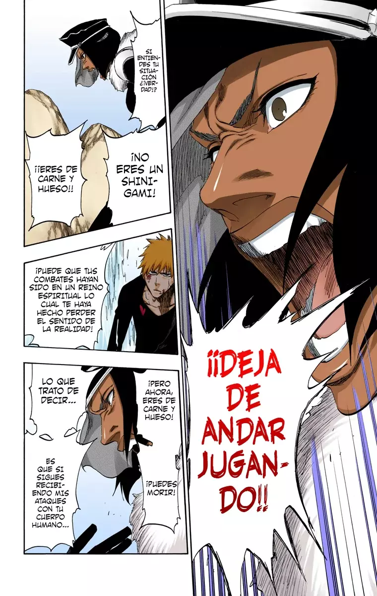 Read Bleach Full Color ES Manga Online