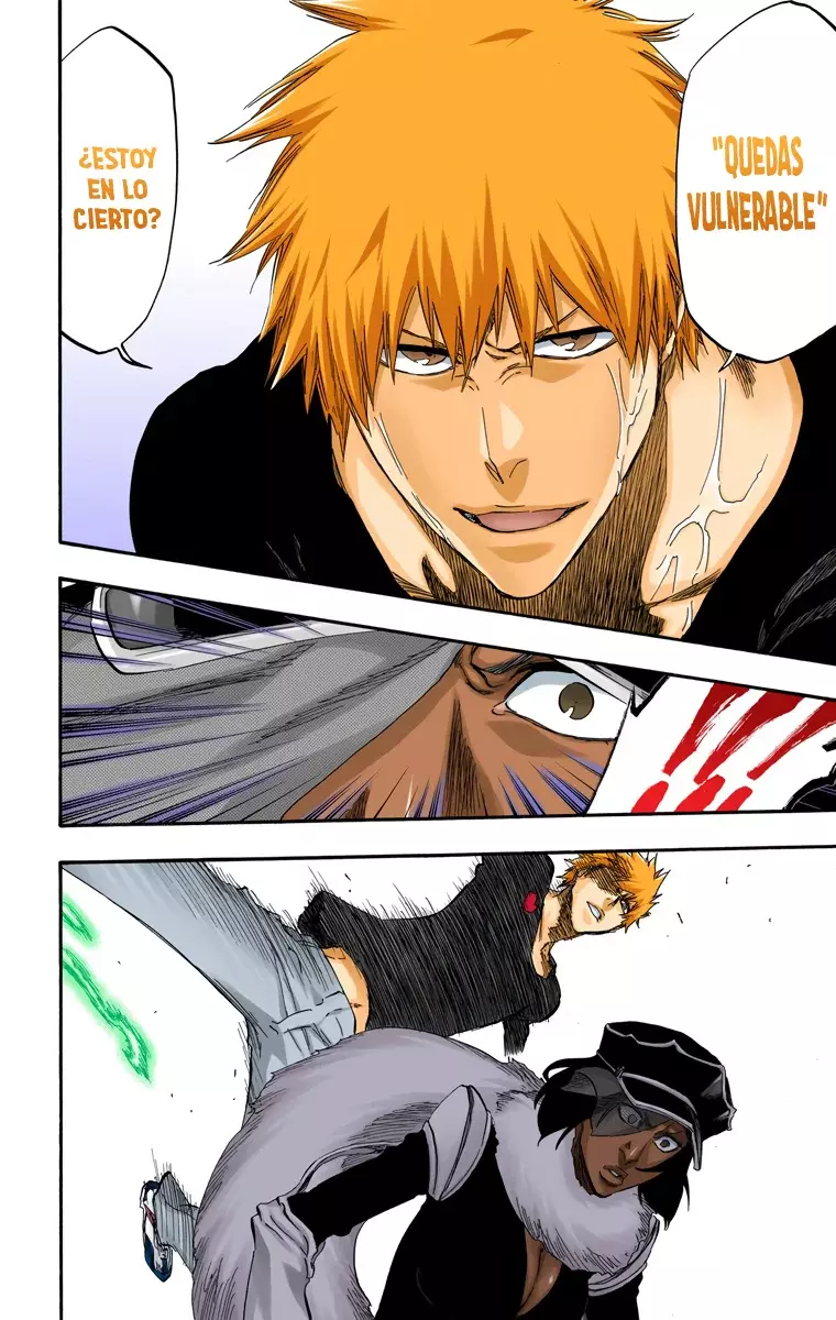 Read Bleach Full Color ES Manga Online
